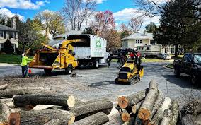 Best Leaf Removal  in Taft Mosswood, CA